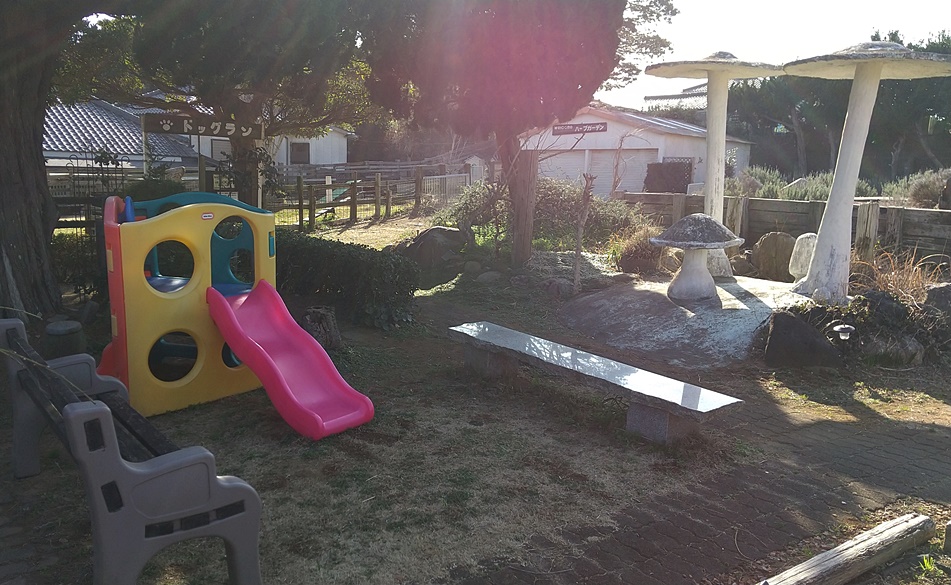 海のそばのハーブ園 ハーブガーデン ポケット 銚子市観光協会 海のそばのハーブ園 ハーブガーデン ポケット 銚子市観光協会