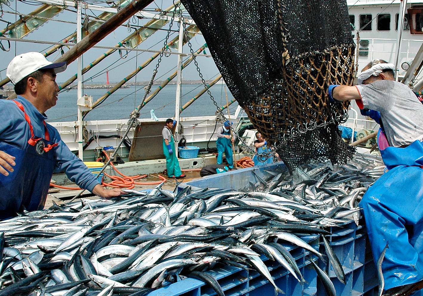 銚子の漁業 銚子市観光協会