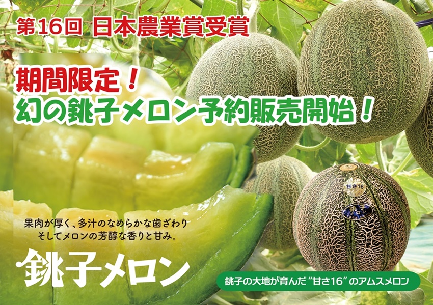 数量限定 幻の銚子メロン 銚子市観光協会 数量限定 幻の銚子メロン 銚子市観光協会