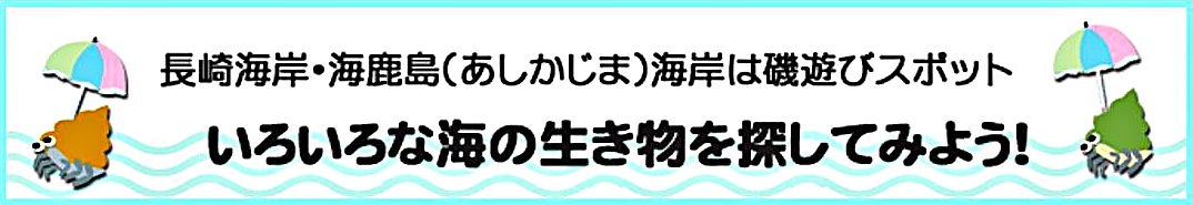 磯遊びスポットバナー