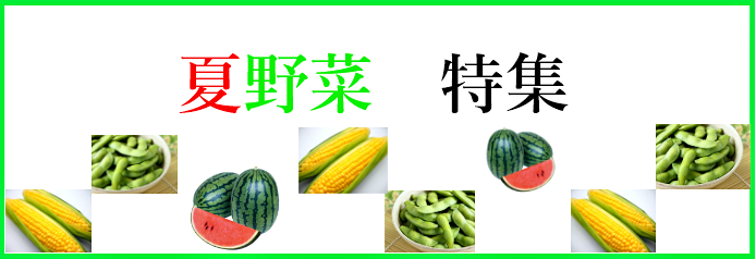 夏野菜特集バナー694×238