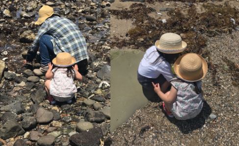 長崎海岸・磯あそび