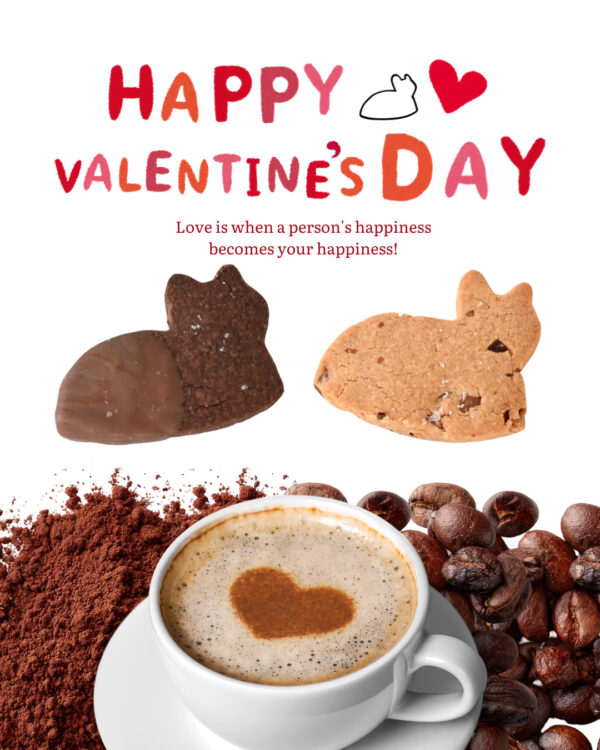 バレンタインクッキーセット