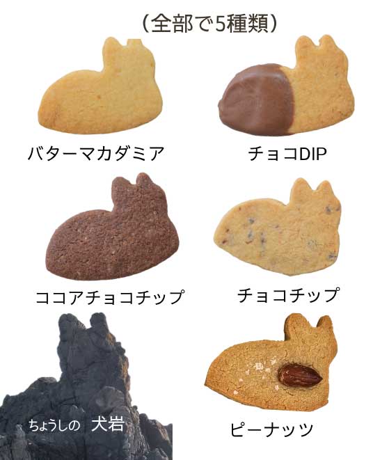 ５種類