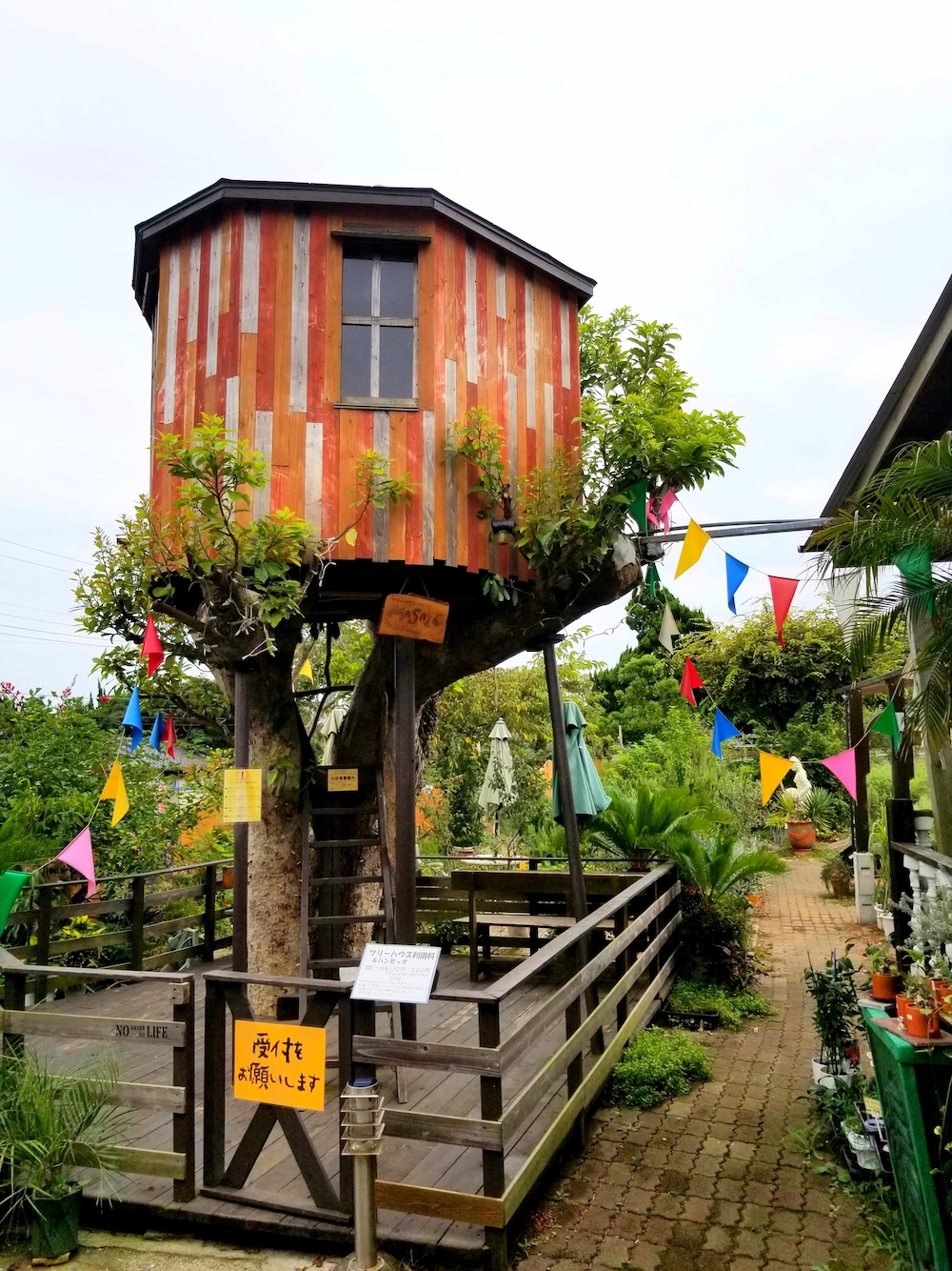 ドッグランもツリーハウスもワークショップも 家族とペットと楽しめるハーブ園を営む鈴木浩之さん 2 銚子市観光協会